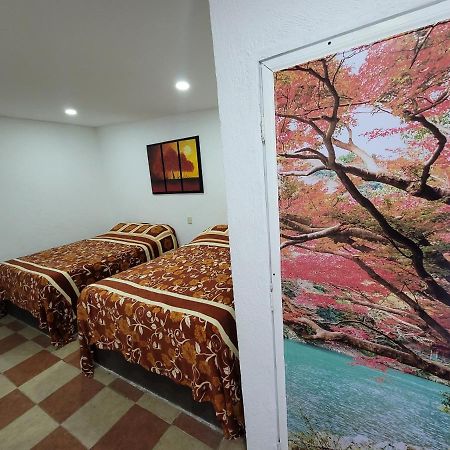 Hotel Vicalis Сан-Хуан-Теотиуакан Экстерьер фото